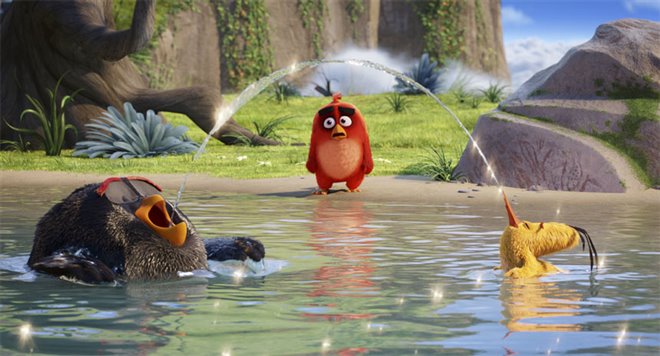 Angry Birds : Le film Photo 15 - Grande