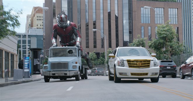 Ant-Man and The Wasp Photo 13 - Large