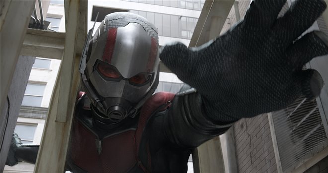Ant-Man and The Wasp Photo 23 - Large