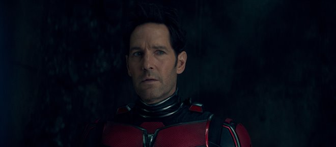 Ant-Man and The Wasp: Quantumania Photo 3 - Large