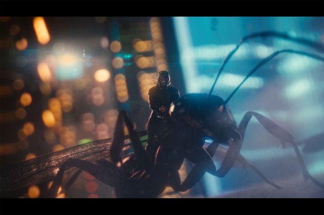 Ant-Man (v.f.) Photo 15 - Grande