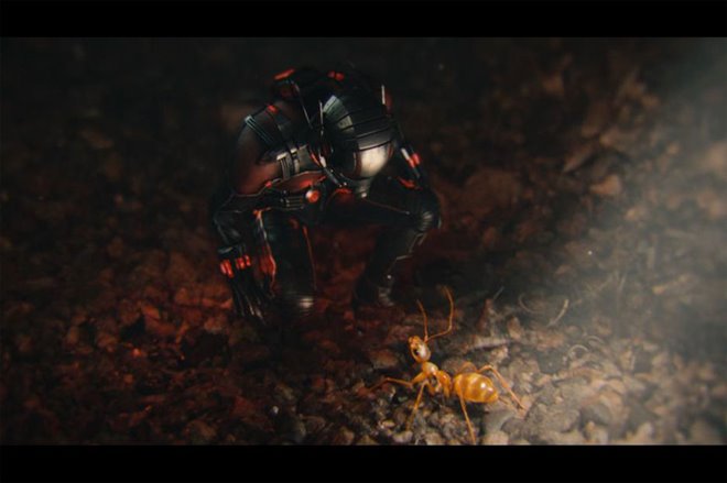 Ant-Man (v.f.) Photo 17 - Grande
