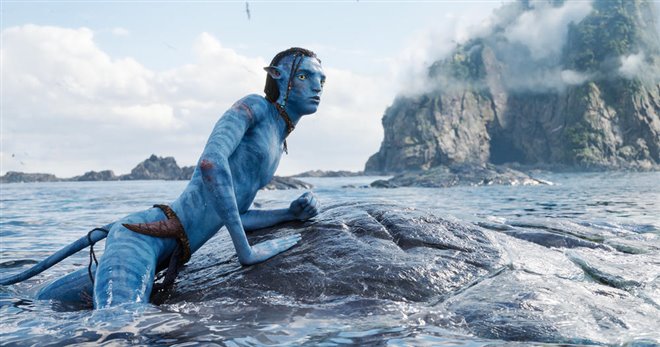 Avatar : La voie de l'eau Photo 20 - Grande