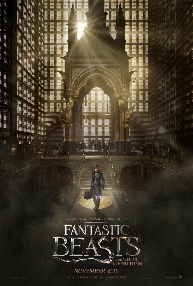 Fantastic Beasts and Where to Find Them Photo 44 - Large