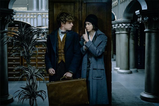 Fantastic Beasts and Where to Find Them Photo 4 - Large