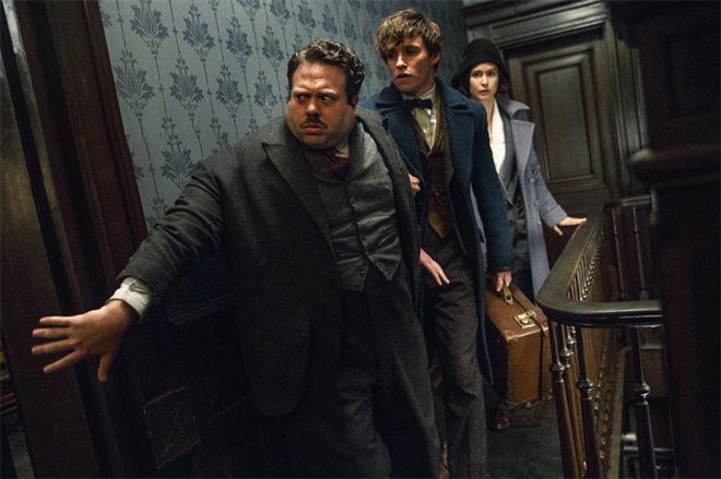 Fantastic Beasts and Where to Find Them Photo 10 - Large