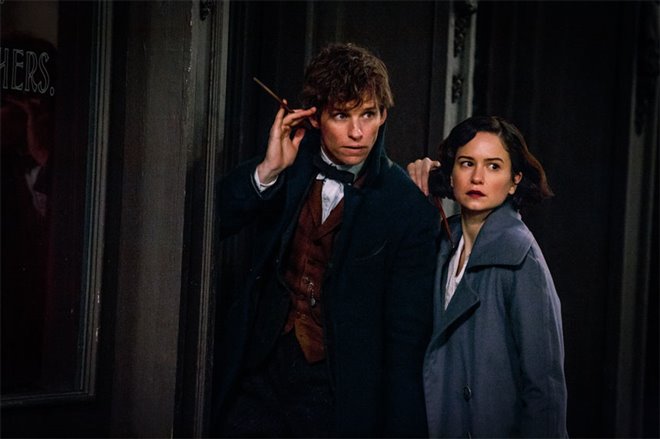 Fantastic Beasts and Where to Find Them Photo 14 - Large