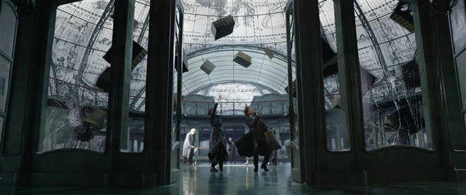 Fantastic Beasts: The Crimes of Grindelwald Photo 24 - Large