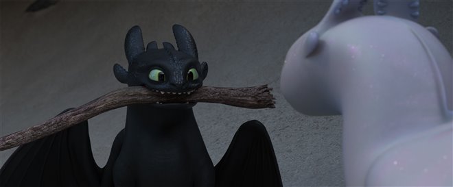 How to Train Your Dragon: The Hidden World Photo 17 - Large