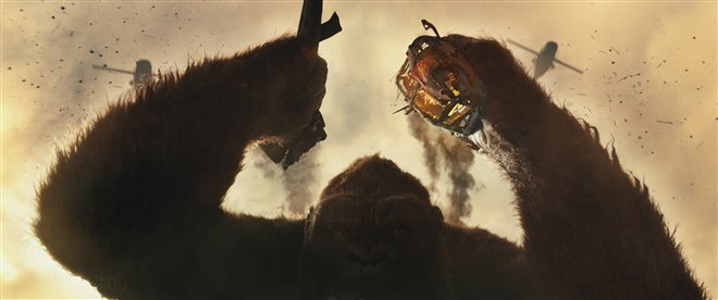 Kong : Skull Island (v.f.) Photo 16 - Grande