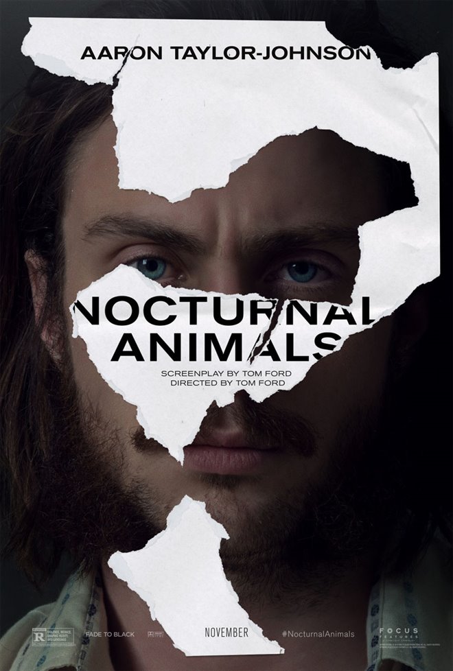 Nocturnal Animals Photo 5 - Large