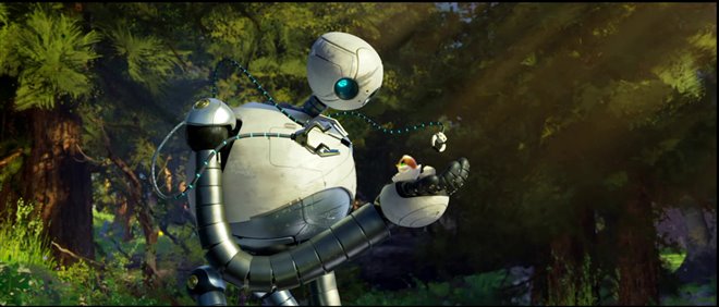 Robot sauvage Photo 9 - Grande