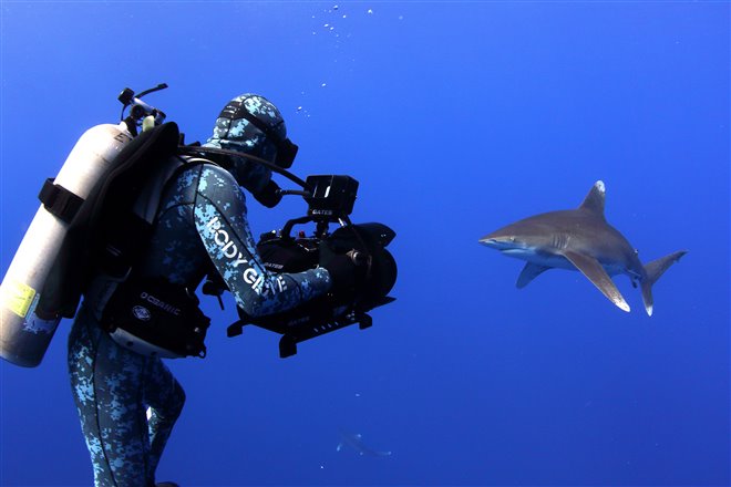 Sharkwater Extinction - Le film Photo 5 - Grande