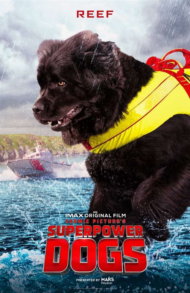 Superpower Dogs Photo 5 - Large
