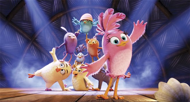 The Angry Birds Movie Photo 37 - Large
