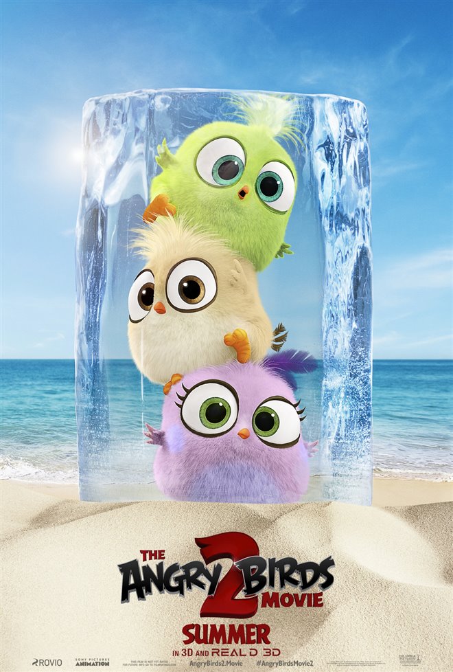 The Angry Birds Movie 2 Photo 38 - Large