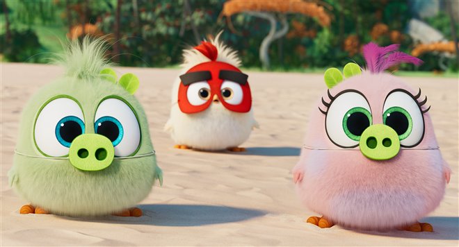 The Angry Birds Movie 2 Photo 7 - Large