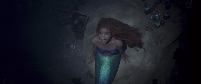 The Little Mermaid Photo 1 - Large