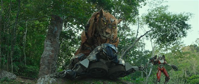 Transformers : Le réveil des bêtes Photo 24 - Grande
