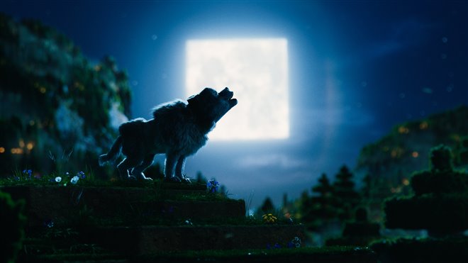 Un film Minecraft Photo 3 - Grande