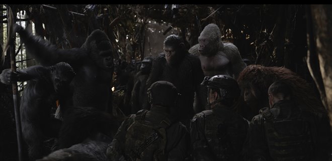 War for the Planet of the Apes Photo 5 - Large