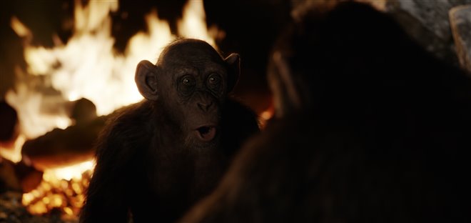 War for the Planet of the Apes Photo 9 - Large