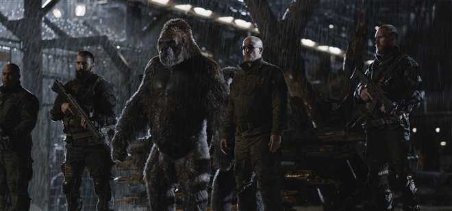 War for the Planet of the Apes Photo 11 - Large