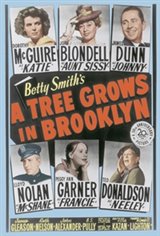 A Tree Grows in Brooklyn Movie Poster