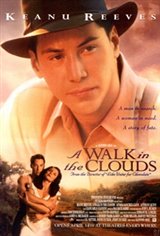 A Walk in the Clouds Poster
