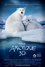 Arctique 3D Poster