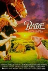 Babe Affiche de film