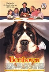 Beethoven Affiche de film