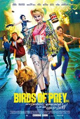 Birds of Prey Poster