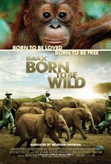 Born to Be Wild Movie Poster
