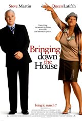 Bringing Down the House Poster