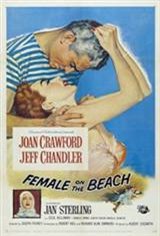 Female on the Beach (1955) Movie Poster