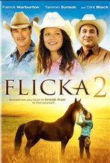 Flicka 2 poster