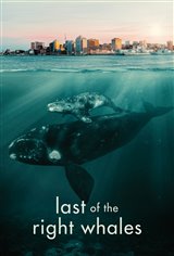 Last of the Right Whales Movie Poster