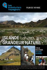 Les Aventuriers Voyageurs - Islande Movie Poster