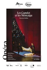 Les Capulet et les Montaigu Movie Poster