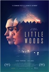 Little Woods Affiche de film