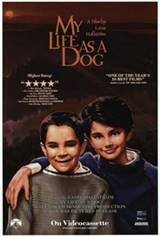 My Life as a Dog Affiche de film