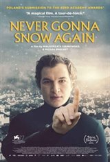 Never Gonna Snow Again Movie Poster
