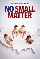 No Small Matter Affiche de film