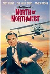 North by Northwest Large Poster
