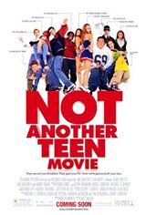 Not Another Teen Movie Large Poster