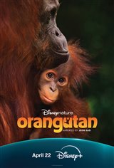 Orangutan (Disney+) poster