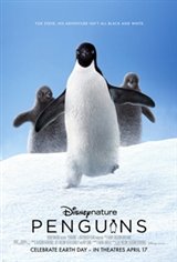 Penguins: The IMAX Experience Large Poster