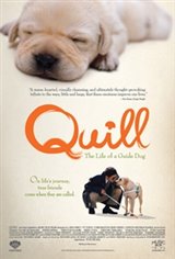 Quill: The Life of a Guide Dog Affiche de film