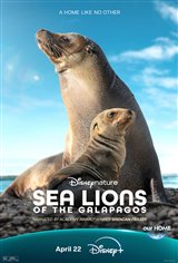 Sea Lions of the Galapagos (Disney+) poster